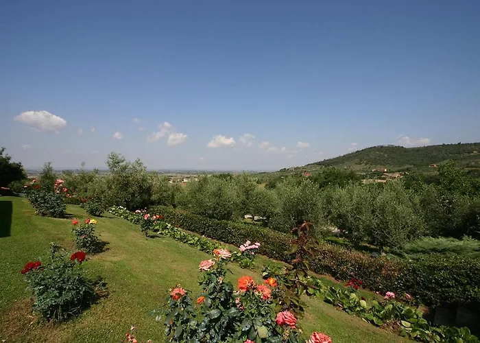 Kır Evi Cortoreggio *